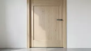drzwi łazienkowe z futryna