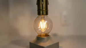 jak wyciagnac halogen z oprawki