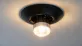 żarówki halogenowe 12v led