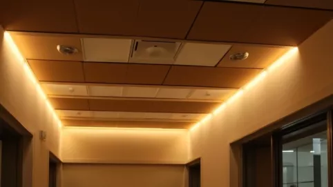 Co ile halogeny w podbitce