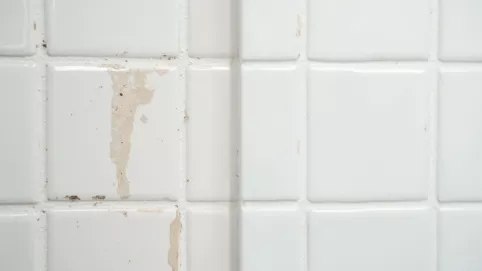 jak odnowić fugi w łazience